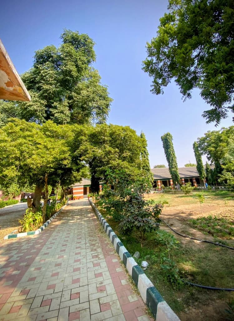 College building architecture